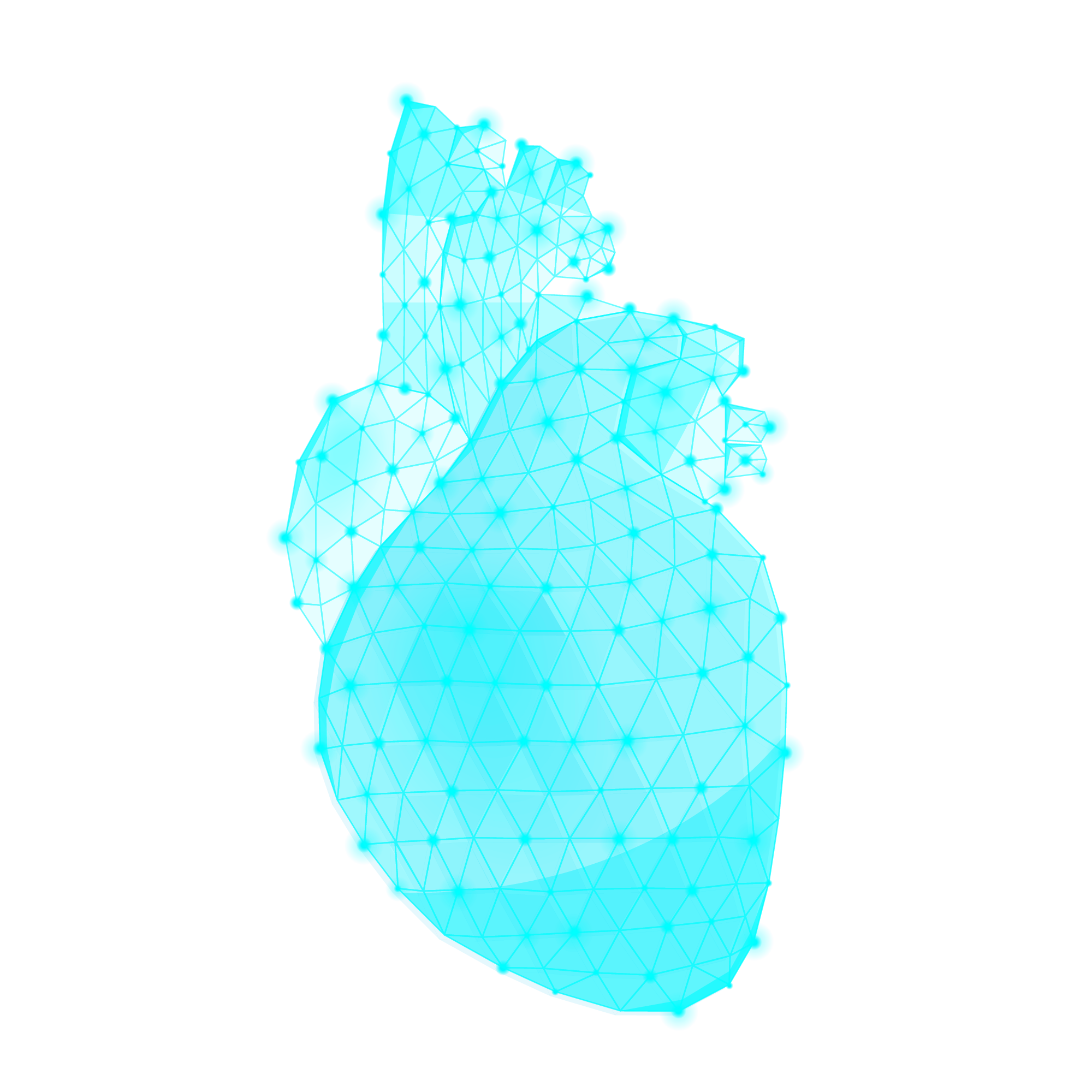 image not found